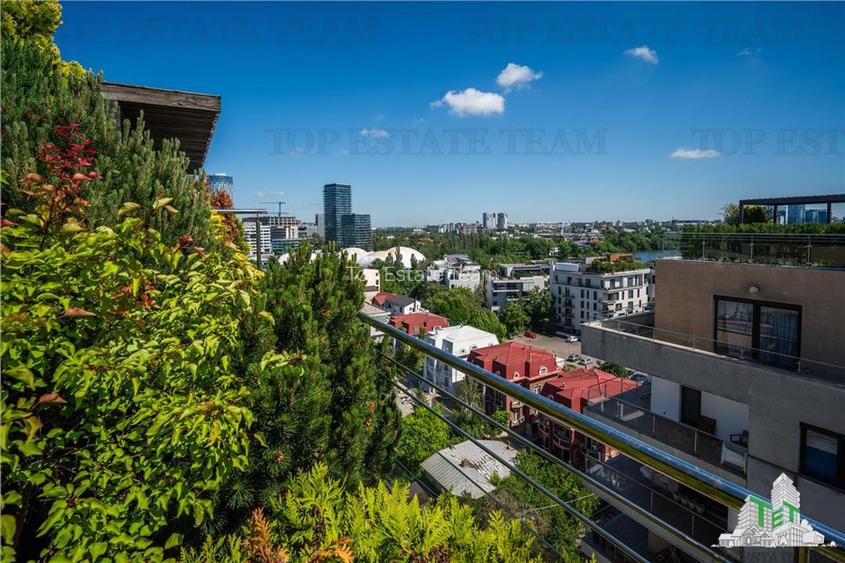 Penthouse 4 camere cu terasa de vanzare in zona Herastrau - 25