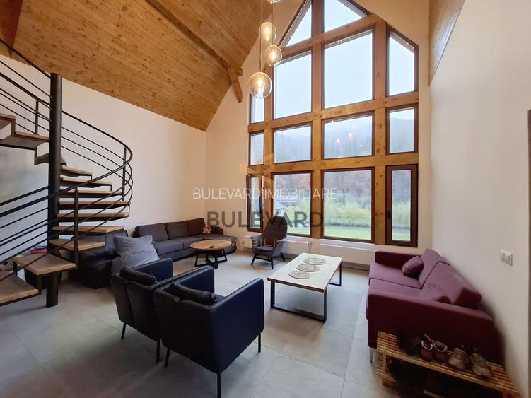 Proprietate cu potențial turistic în zona montană a Țării Lăpușului - 9