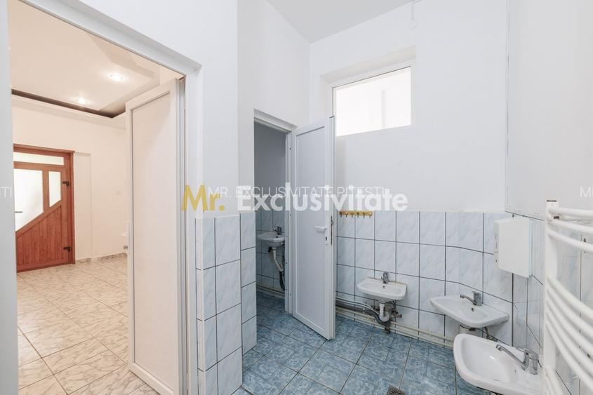 Proprietate multifunctionala | Doua cladiri | 581 mp | Pitesti - 24