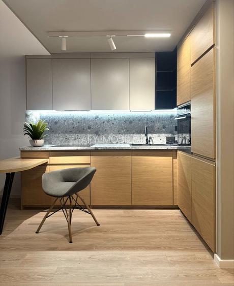 Studio de inchiriat Parcul Circului - 2