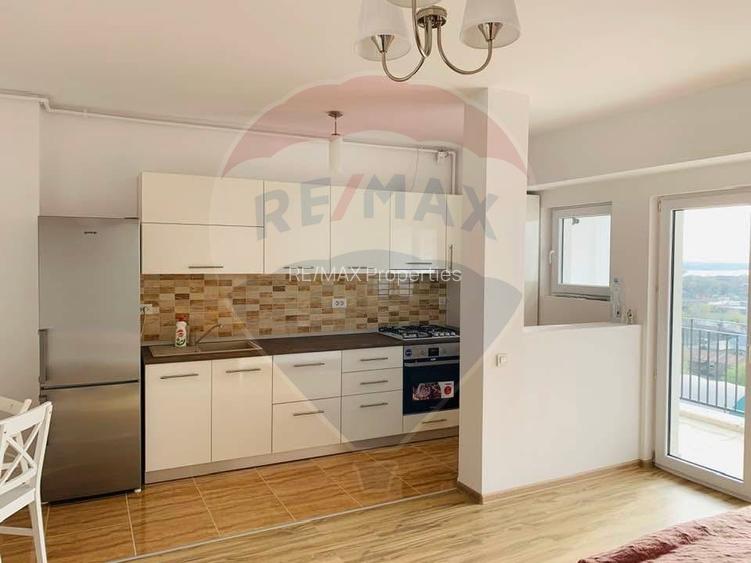 Apartament tip Studio- Rams Dudesti-Pantelimon 42 - 4