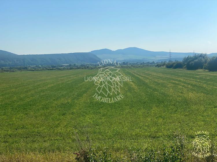 Teren 13400mp la DN 17-parcelabil Podirei - 6