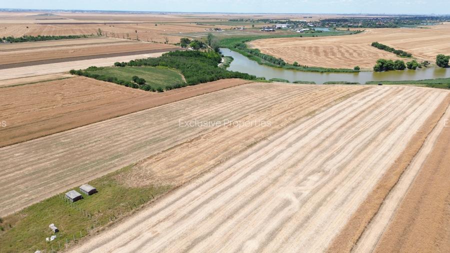 teren la lac Frumusani - 10