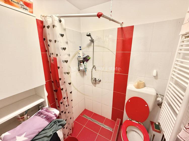 Garsonieră practică și accesibilă în zona Buziașului - 5