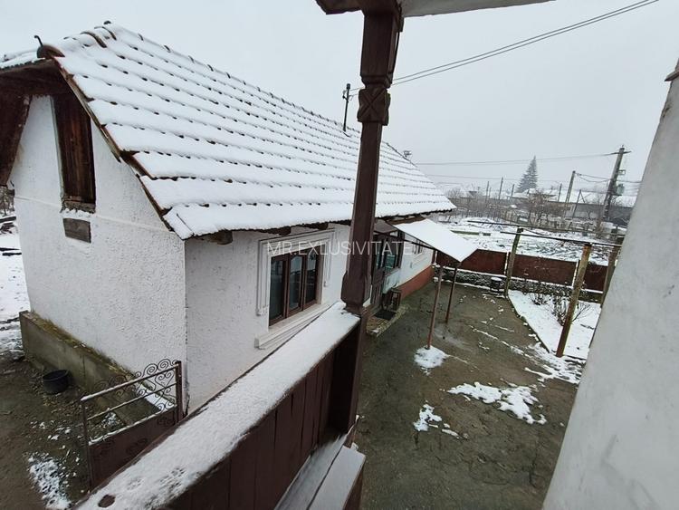 Proprietate rară – 2 case + livadă, vie și teren generos, la 20 km de Târgu Jiu - 6