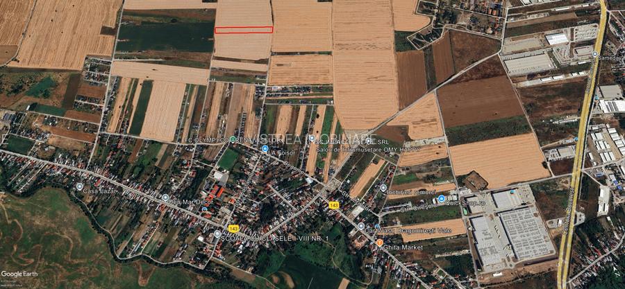 Teren intravilan 12.500 mp – Dragomirești Vale, Str. Lalelelor - 4