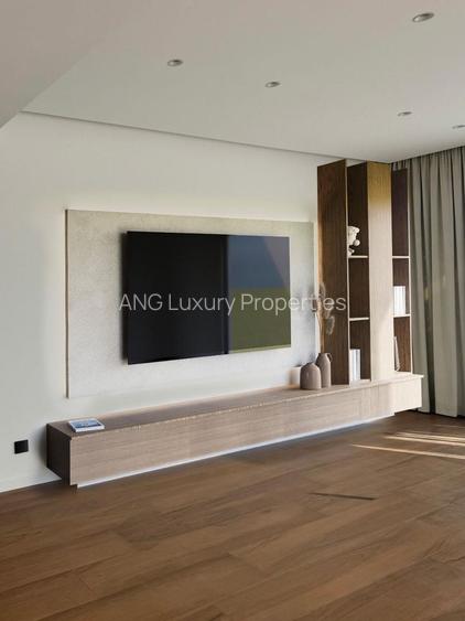 Penthouse  4 camere Primaverii - 3