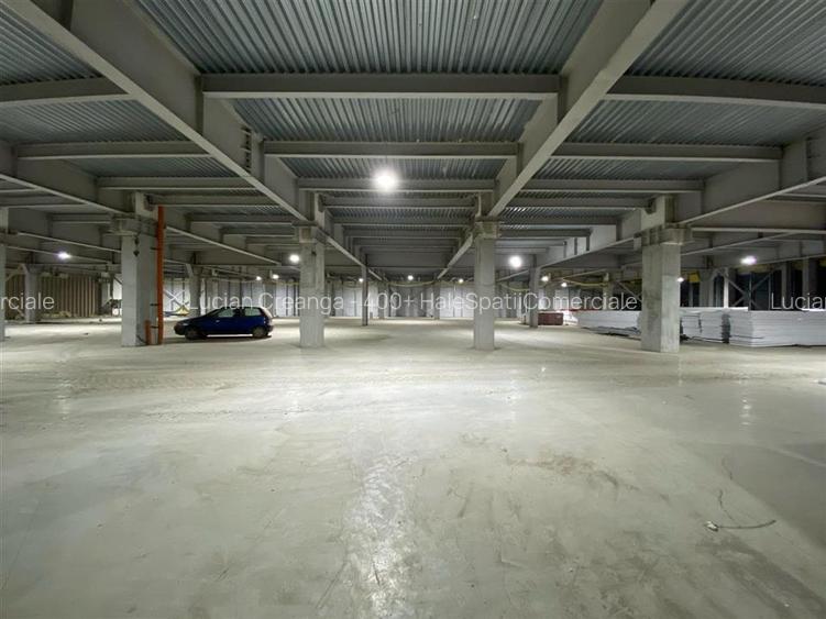 Hale Calea Chisinaului Iasi, aproape de Carrefour de la 65mp la 2000mp - 9