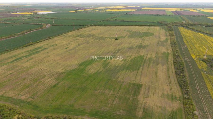 Teren investițional strategic 44.700 mp Arad Vest - 8