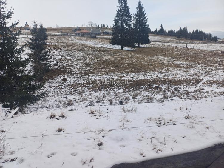 Vand teren intravilan muntele rece - 3