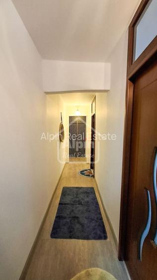 Suprafata Generoasa I Zona Gemenii - 21