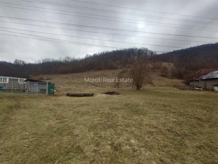 1.3 haTeren si  Casa Luncoiu de Jos - 17