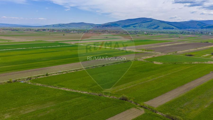 Teren EXTRAVILAN | 4,000mp Stupinii Prejmerului | COMISION 0% - 11