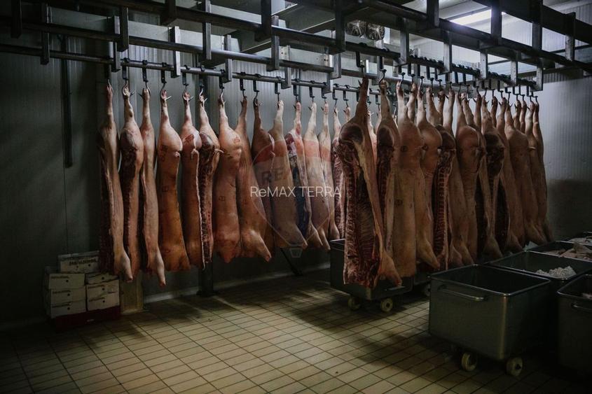 Spațiu industrial de 1,700mp de închiriat în zona Vasile Alecsandri - 9