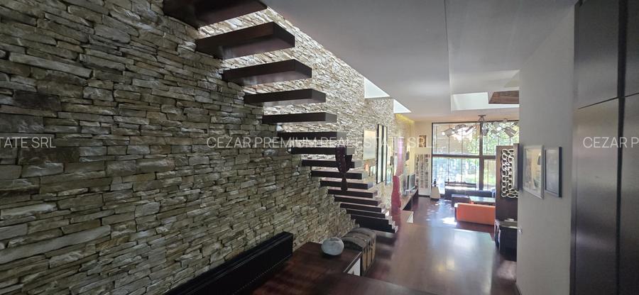 BANEASA GARLEI VILA ELEGANTA DE VINZARE - 18