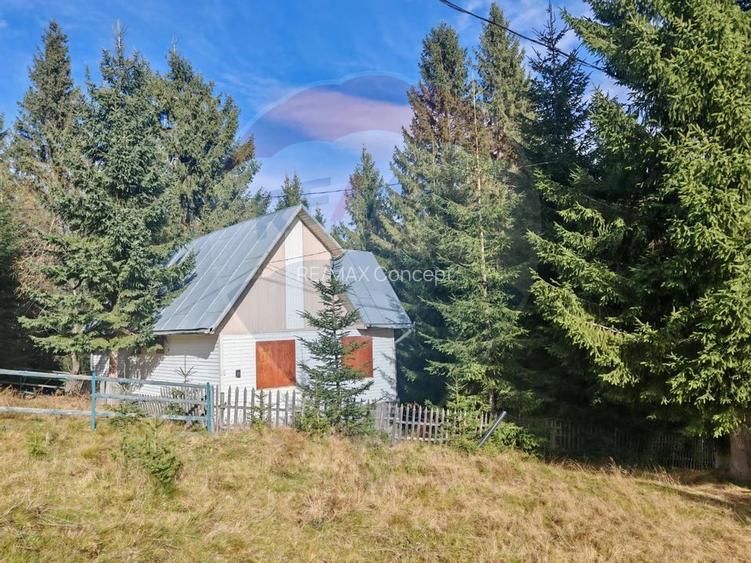 Cabană de vânzare în Muntele Băișorii – Zona Jera - 5