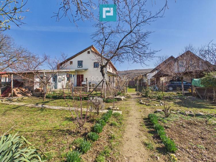 Casă cu 6 camere pe teren de 2029 mp – Miniș - 24