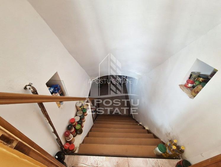 Casă spațioasă cu 2 locuințe și teren generos de 5.755 mp în Șandra - 10