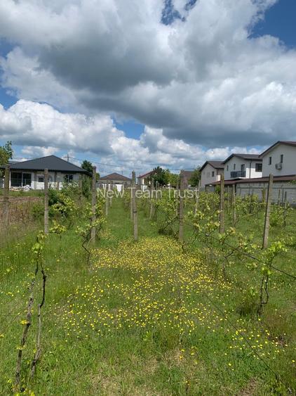 Stefanesti de Jos DJ200  Str Stadionului   Vanzare teren intravilan 3000mp - 6