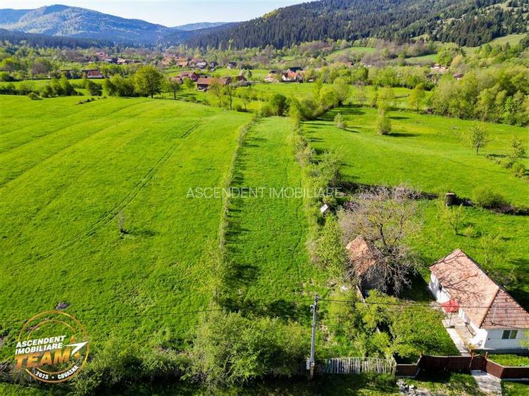 FILM! 2.063 mp de refugiu natural in localitatea Zagon, Covasna - 6