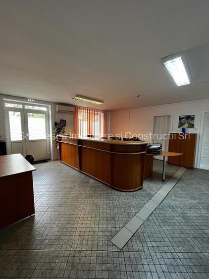 Spatiu industrial productie/ depozitare, Timiș - 38