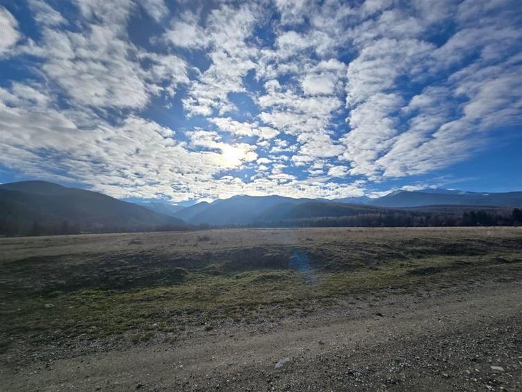 Teren de vanzare in satul de vacanta Dejani - 11