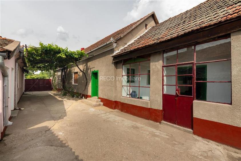 Teren mare cu 2 case si front la 2 strazi in Tamaseu - 37
