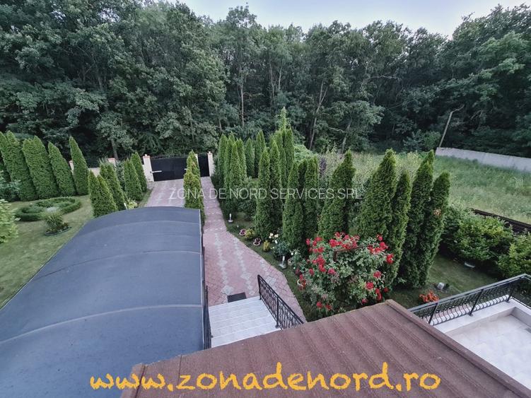 Casă/Vilă generoasă, foarte bine construita, Balotesti-Dumbrăveni - 15