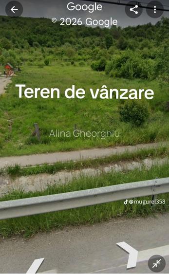Teren intravilan Rudeni Mihăești Arges  - 2
