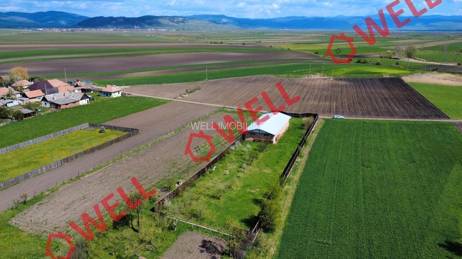 Hală industrială de vânzare în Târgu Secuiesc, pe strada Kanta! - 2