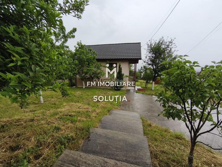 Casă P+1 de vânzare în Cicârlău – zonă superbă, 11 ari teren! - 13