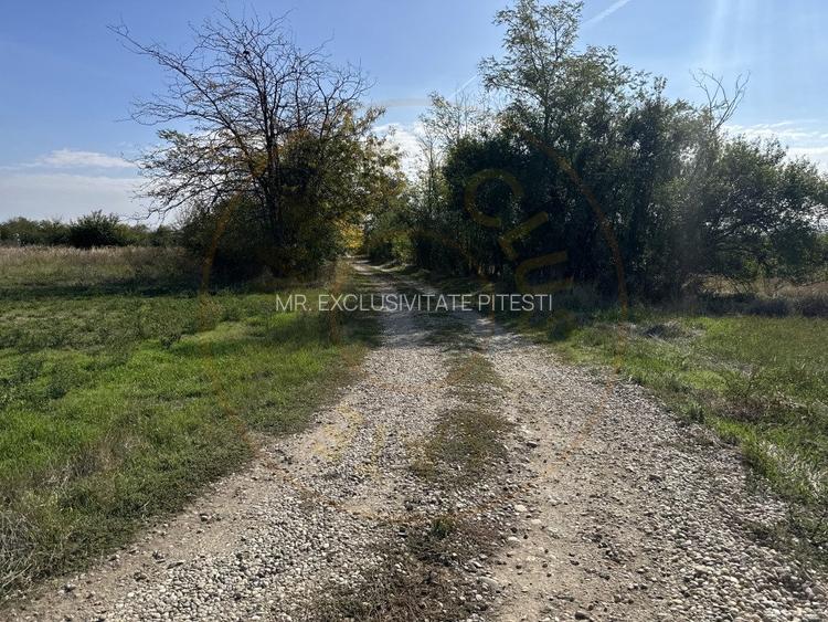 Teren intravilan 3700 mp la 28 km de Pitesti  - zona linistita - 3