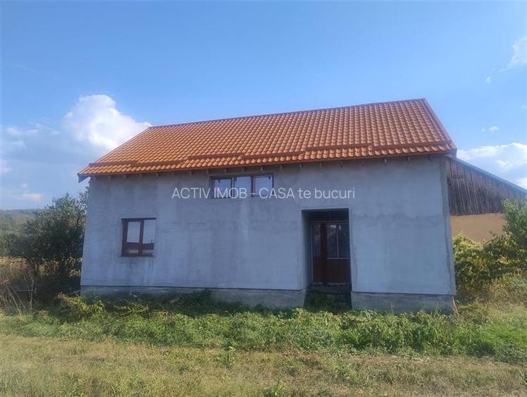 Sadova Veche, Casa la Sosea, cu Teren 3251Mp - 2