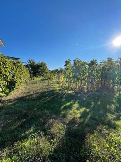 Casa individuala + anexa si gospodarie , 247 mp , 3 nivele, 1669 gradina, Gilau  - 14