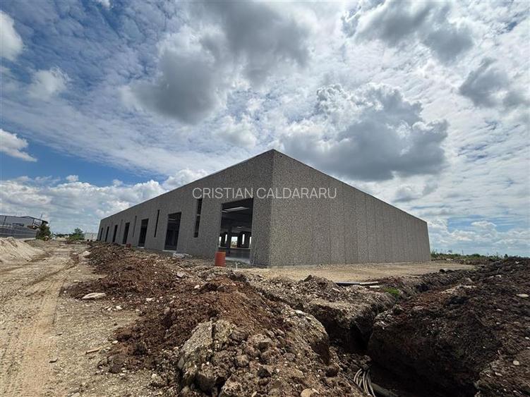 Vanzare depozit/spatiu industrial/hala Chitila - Rudeni, ILFOV - 4
