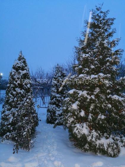 FARA COMISIOANE casa cu 6 camere 2 bucatarii P+1 TIGLA PISCINA BECI GARAJ - 22