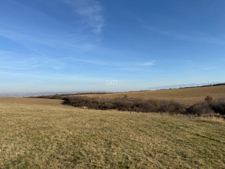 Parcele teren pentru cabane - sat Rusciori 567 mp - direct de la proprietar! - 9