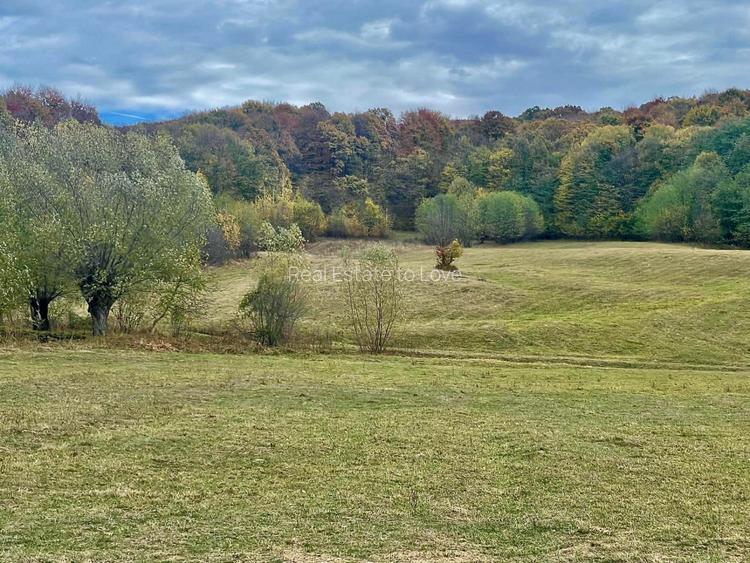 Teren la padure, panoramic dealuri si paduri, curent si asfalt - 2