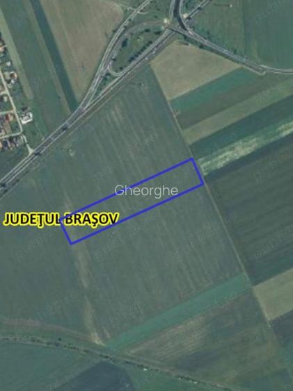 Proprietar . Fără comision. - 4