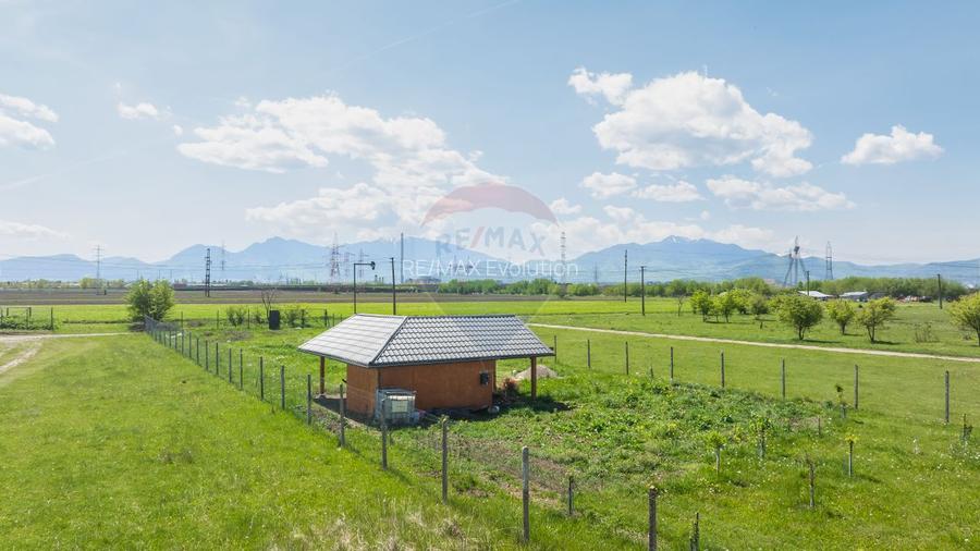 Teren 1300 mp | Sanpetru | zona Livada - 6