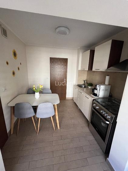 Apartament 2 camere Baba Dochia - 7