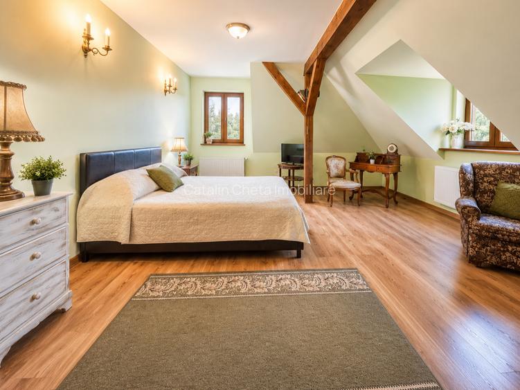 Proprietate unicat in Blagesti cu teren de 7.754 mp - Bacau - 12
