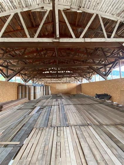 HALE-DEPOZIT DE VANZRE SI TEREN 10000 mp  AGAS jud.Bacau - 7