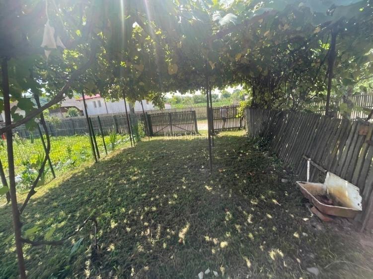 Teren 4.684 mp cu construcție existentă – Mălureni, Argeș - 9