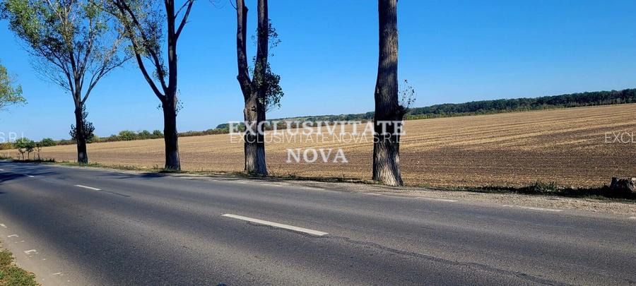Vanzare teren Buftea TAMAS acces Autostrada A0 si Centura ocolitoare Buftea - 6