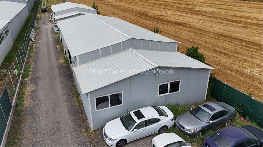 CIOLPANI, LOT 5.000 MP, HALE INDUSTRIALE! - 4