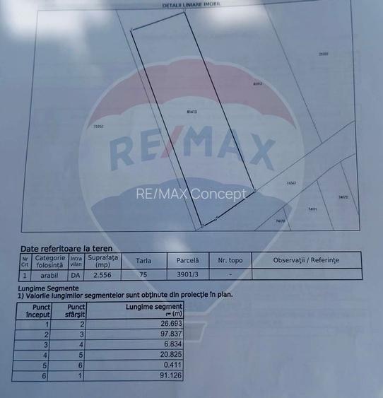 Teren Pădureni (Chinteni), intravilan, parcelabil - 15
