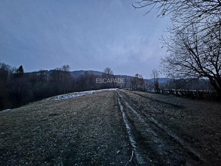 Teren extravilan 5000 mp Sinca Noua - 7