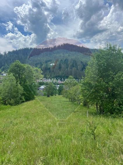 Teren 6,865mp Voroneț / Gura Humorului / Bucovina - 22
