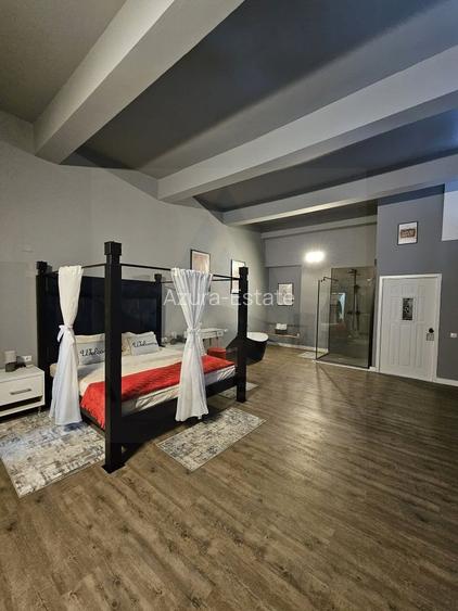 Garsoniera regim hotelier sau spatiu comercial 46 mp utili Terezian - 3